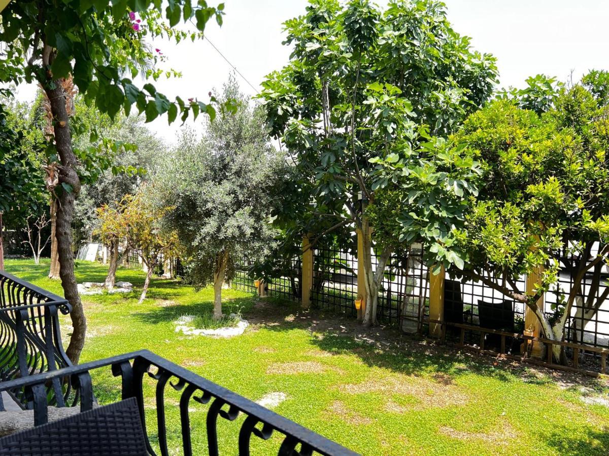Han Boutique Hotel Sarigerme Exteriér fotografie